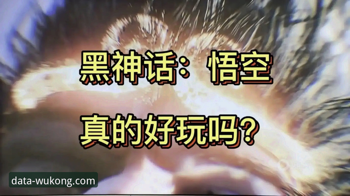 如何获取悟空体育下载2026最新版本以提升你的数据分析效率？